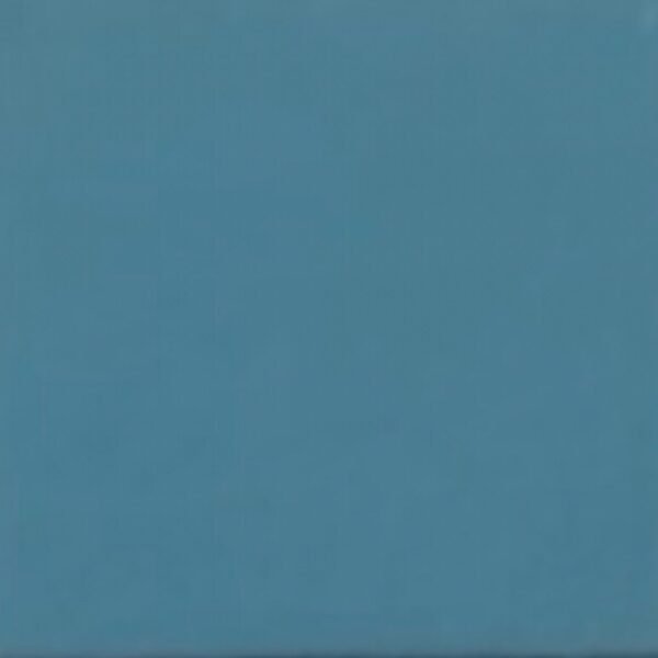 EUROPEAN SOFT NAPPA OCEAN BLUE #98